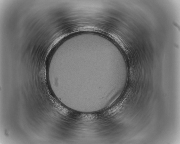 X0000096410931200802141537