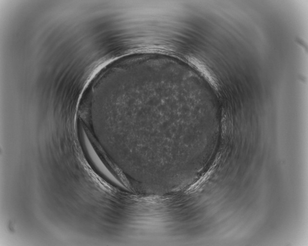 X0000096410932200802141537