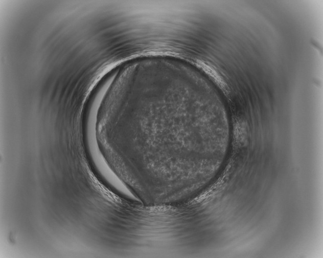 X0000096410934200802141537