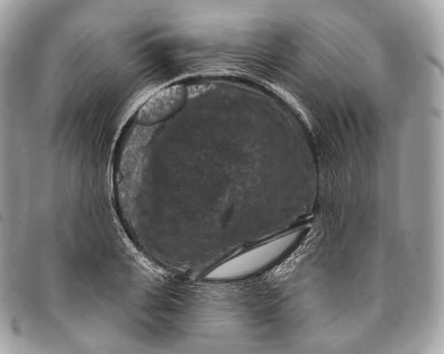 X0000096410935200802141537