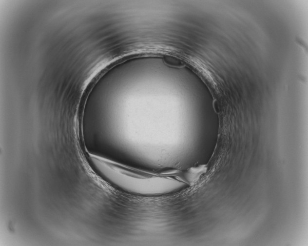 X0000096410936200802141537