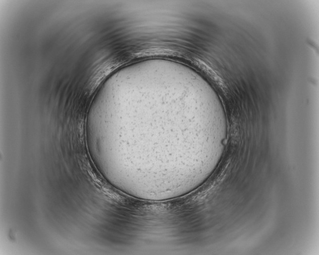 X0000096410937200802141537