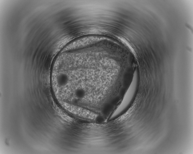 X0000096410938200802141537