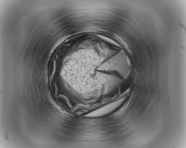 X0000096410939200802141537