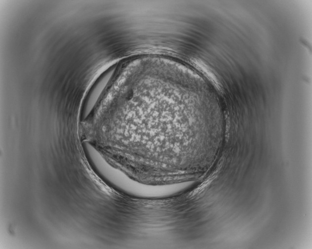 X0000096410940200802141537