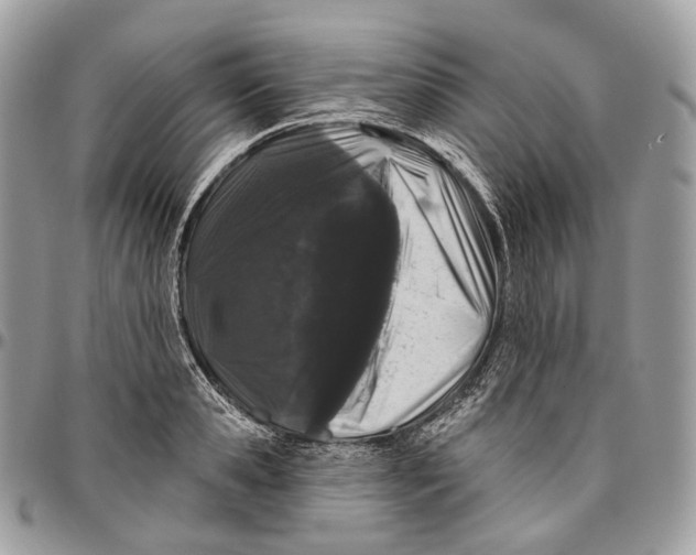 X0000096410941200802141537