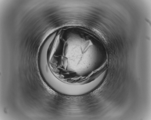 X0000096410942200802141538