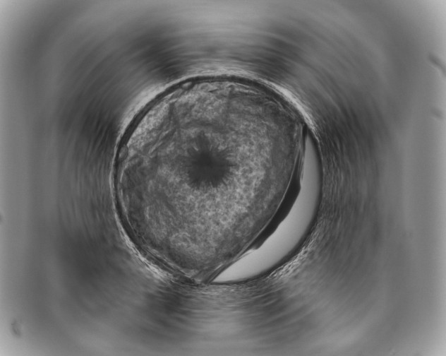 X0000096410943200802141538