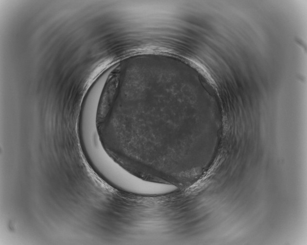 X0000096410946200802141538