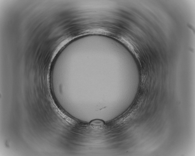 X0000096410947200802141538