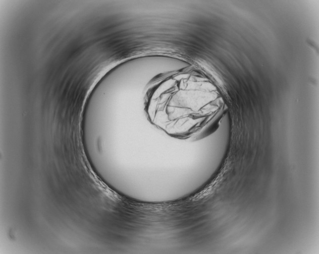 X0000096410948200802141538