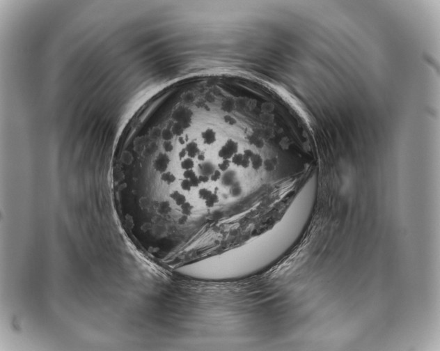 X0000096410951200802141538