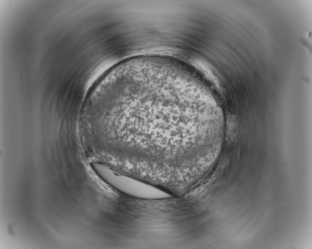 X0000096410952200802141538