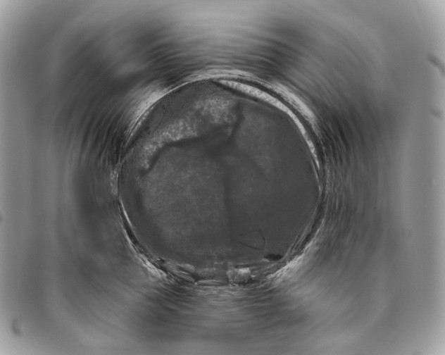 X0000096410953200802141538