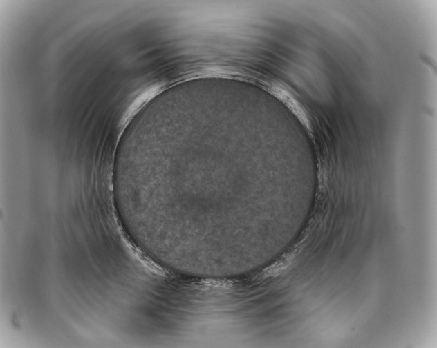 X0000096410954200802141538