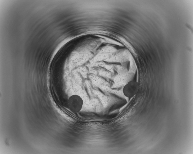 X0000096410955200802141538