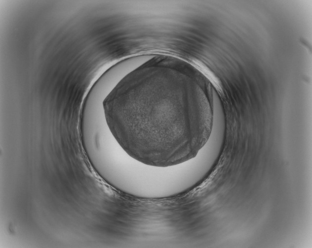 X0000096410956200802141538