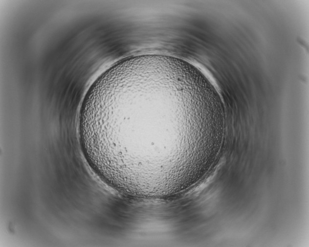 X0000096410957200802141538