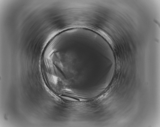 X0000096410958200802141538