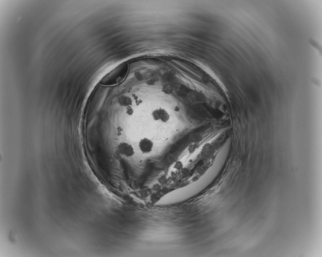 X0000096410959200802141538