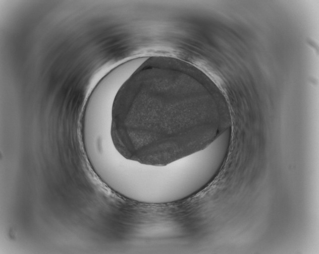 X0000096410960200802141538