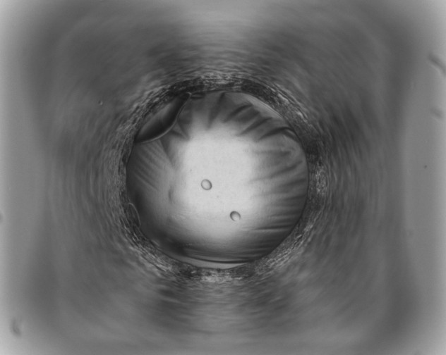 X0000096410961200802141537