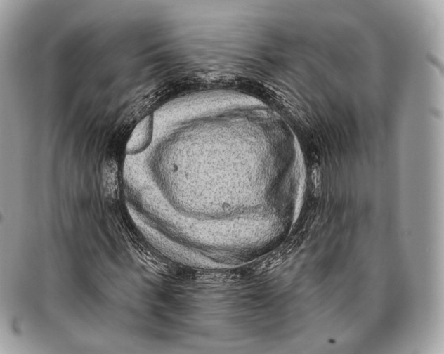 X0000096410963200802141537