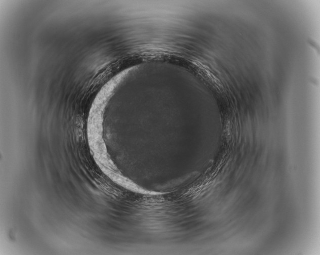 X0000096410964200802141537