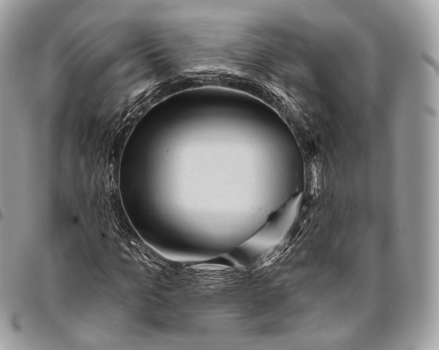 X0000096410965200802141537