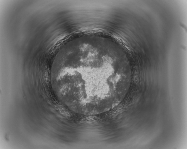 X0000096410966200802141537