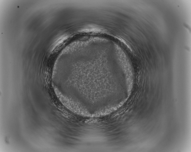 X0000096410967200802141537