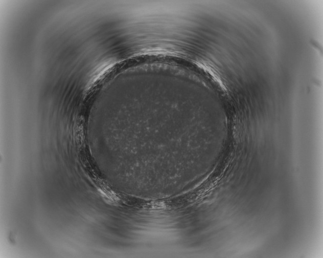 X0000096410968200802141537