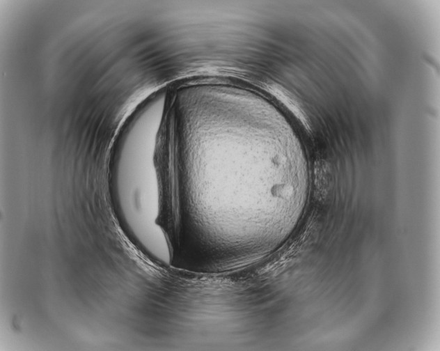 X0000096410972200802141537