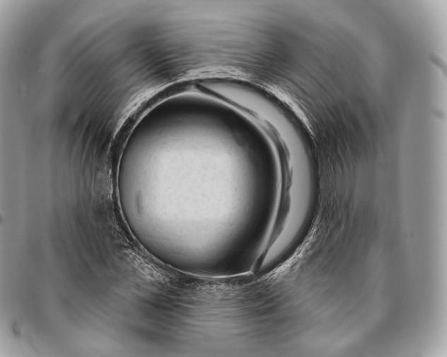 X0000096410973200802141537