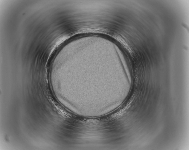 X0000096410974200802141537