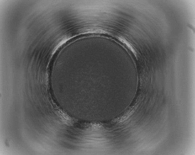 X0000096410975200802141537