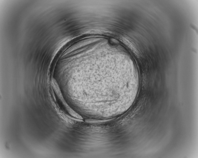 X0000096410976200802141537