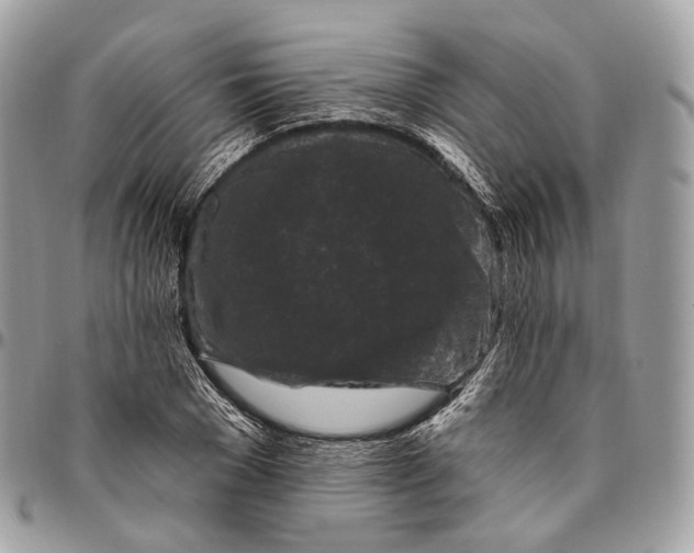 X0000096410977200802141537