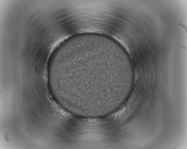 X0000096410979200802141537