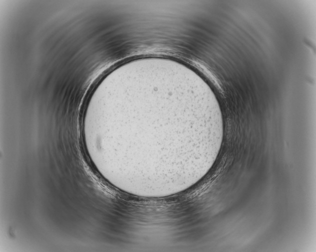 X0000096410980200802141537