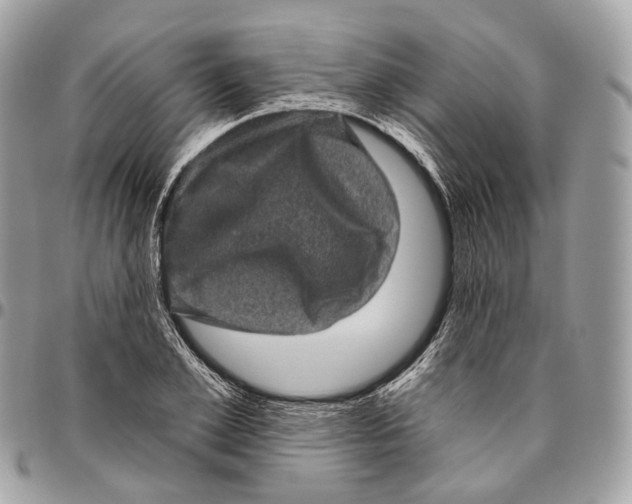 X0000096410981200802141537