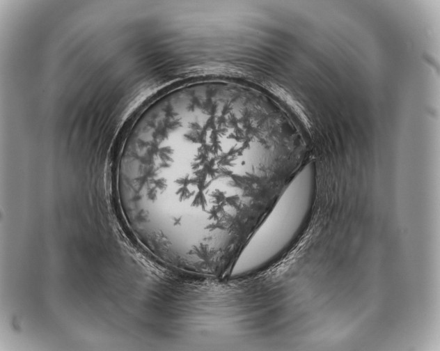 X0000096410983200802141537