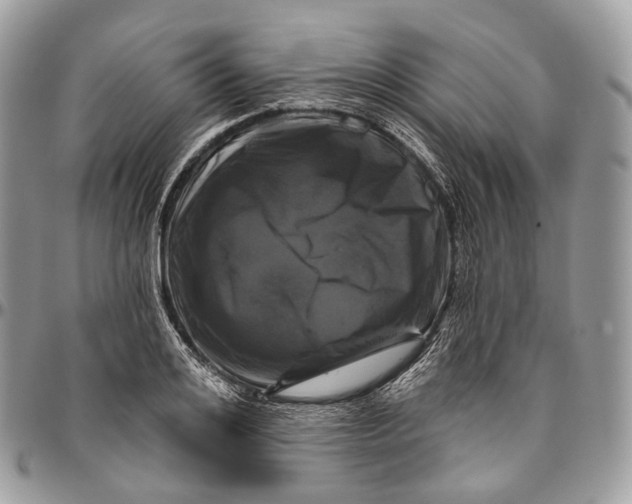 X0000096410984200802141537