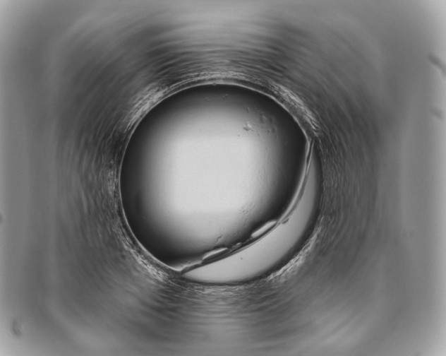 X0000096410985200802141537