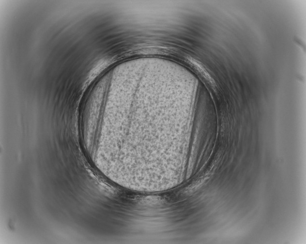 X0000096410986200802141537