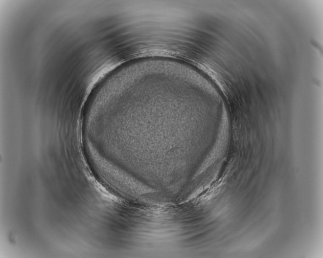 X0000096410987200802141537