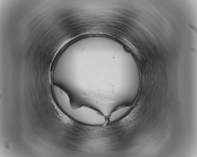 X0000096410988200802141537