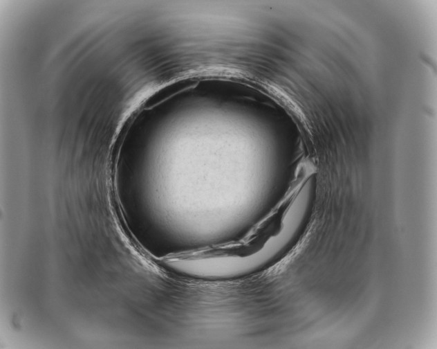 X0000096410989200802141537