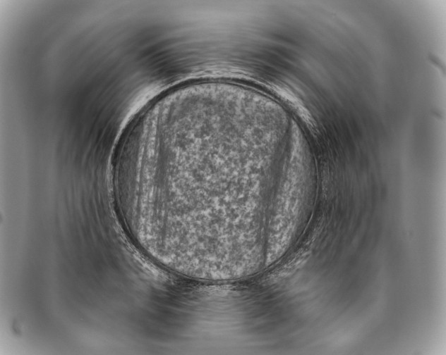 X0000096410990200802141537