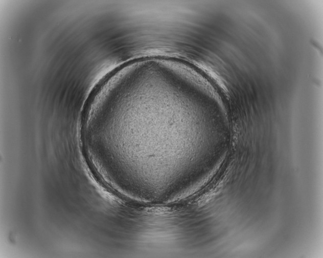 X0000096410991200802141537